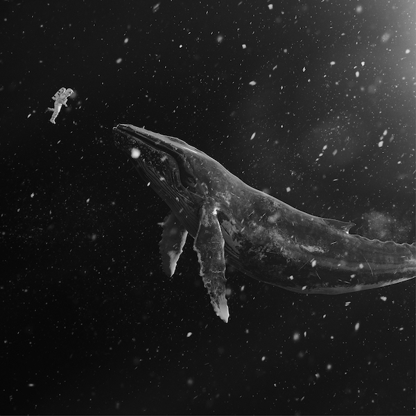 EXO – Sing For You