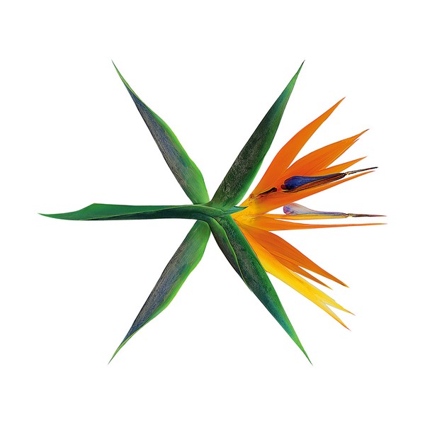 EXO – THE WAR