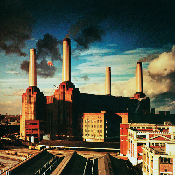 Pink Floyd – Animals