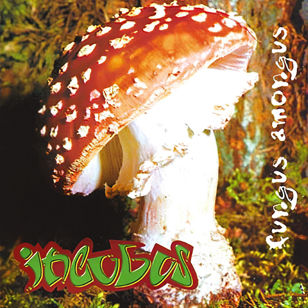 Incubus – Fungus Amongus